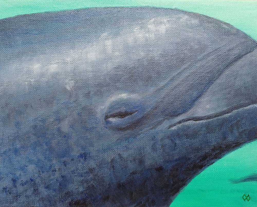 106-9 Delfin